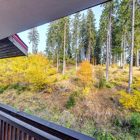 Alpine Escape At Dream View * Pamporovo