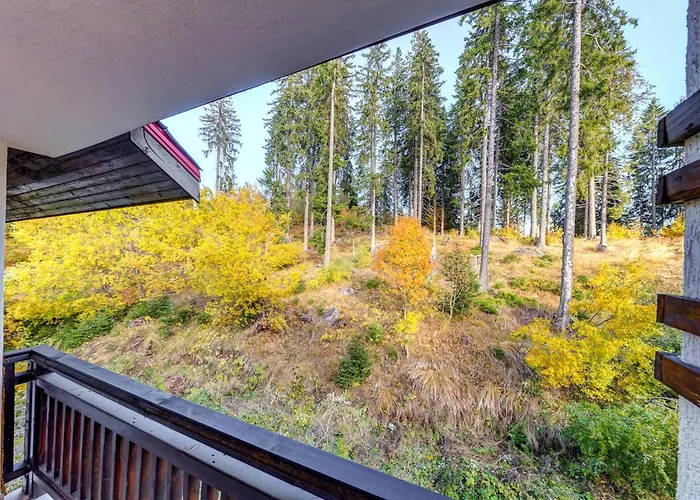 Alpine Escape At Dream View * Pamporovo